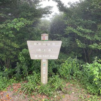 足立山（霧ケ岳）　597.8m 霧ケだけというだけあって？ガスって眺望なし！