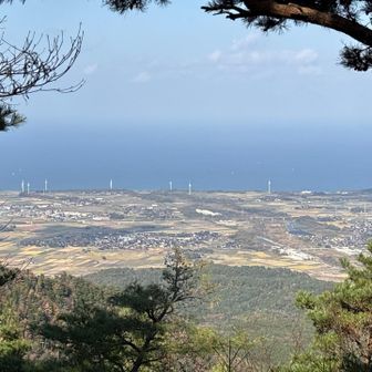 今日の日本海。