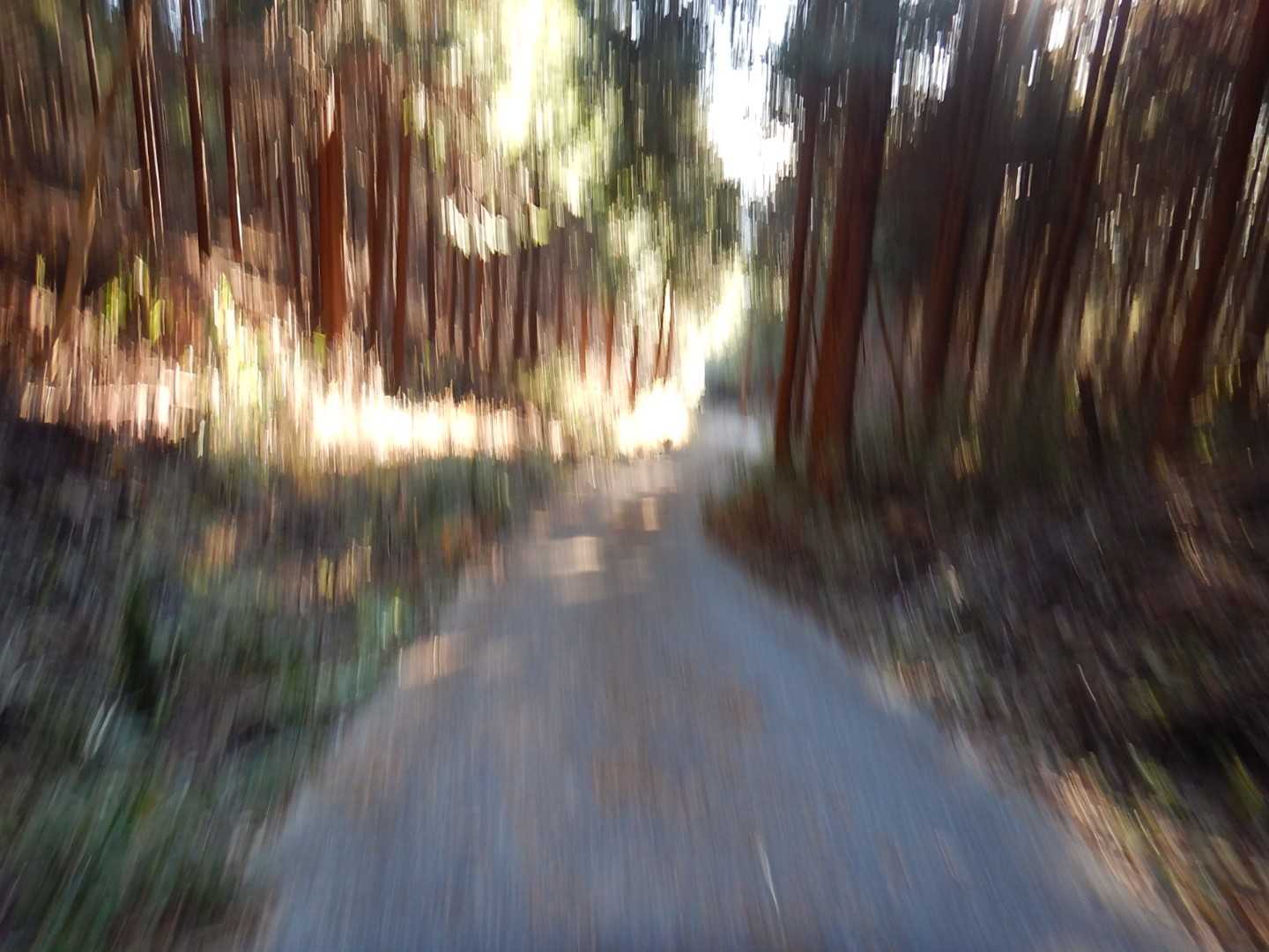 下りは時速30kmくらい出てた(つもり)🤭