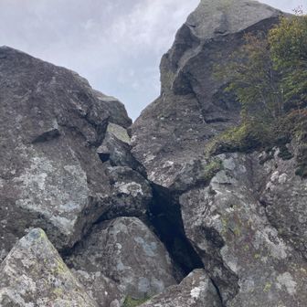 私は、これ以上進むのは危険と判断し下山へ
