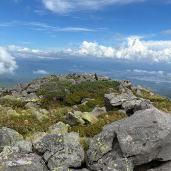 北峰　　巨石ゴロゴロ　踏み跡さがして、YAMAPルート確認🤙