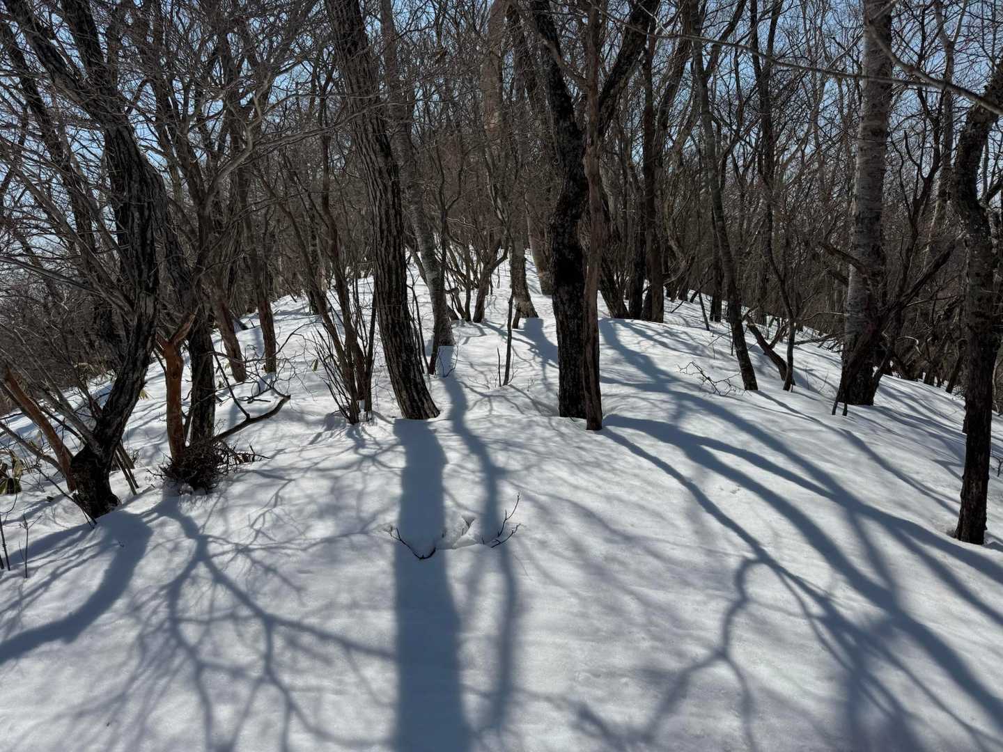 地蔵岳取付-高天原-地蔵岳登山口-八丁峠-長七郎山-赤城山 周回コースの写真