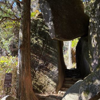相変わらず支えられてる😅