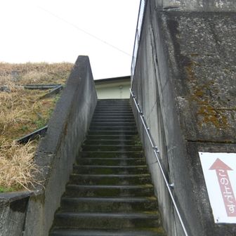 帰りは割とスムーズに運動公園まで戻ってこれました。