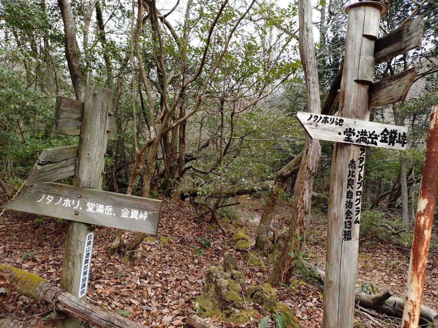 登山口着。駅から30分ぐらいかな。
安定の、もう暑い🥵
アウター脱ぎます💦