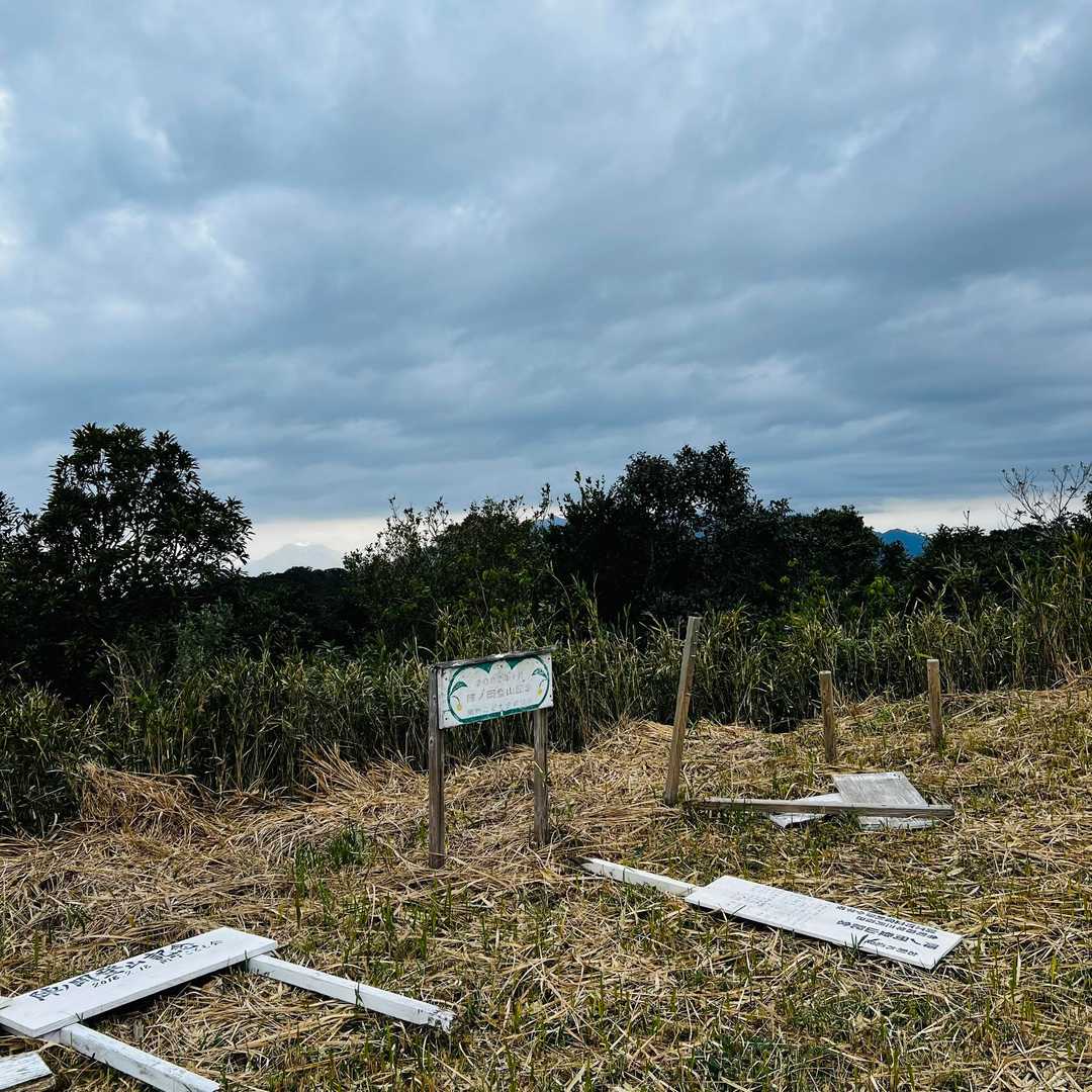 陣ノ岡トレッキングコース入口-陣ノ岡 往復コースの写真