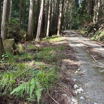笠形山山頂まで2.1km。