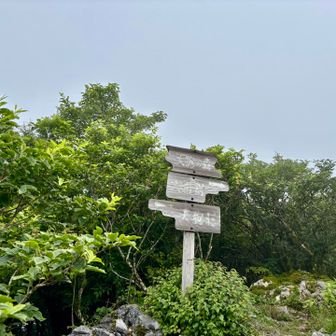 天狗ノ森　山頂。
残念ながら霧で眺望はありませんでした(´Д` )