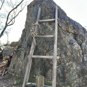 目をさました桜岩登場。