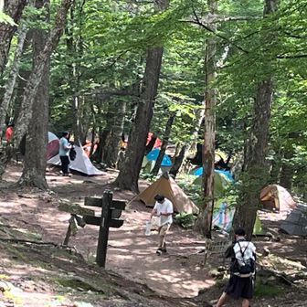 富士見平のテント場🏕️大賑わいでした♪