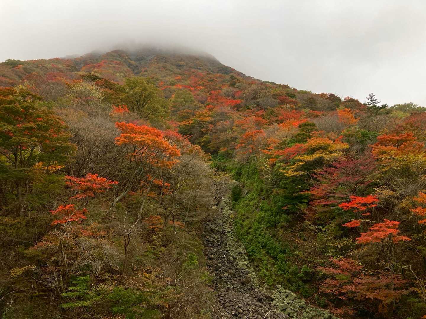 三俣北峰斜面の🍁色付き良い😍👍