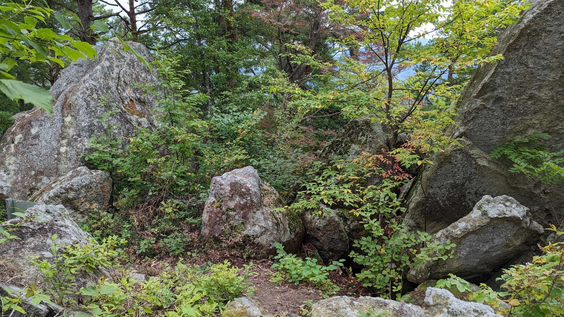 大きな石が並んでいます🪨