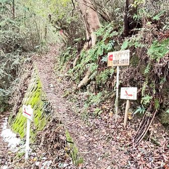 登山道らしき道はここまで