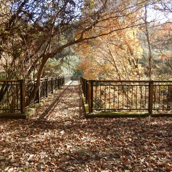 柏木山Ｐへのショートカット！