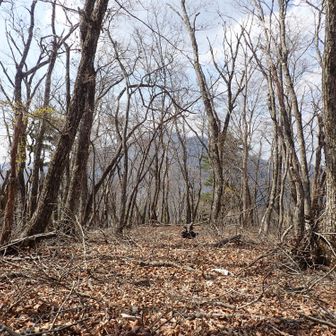 明るく落ち着ける山頂🤗