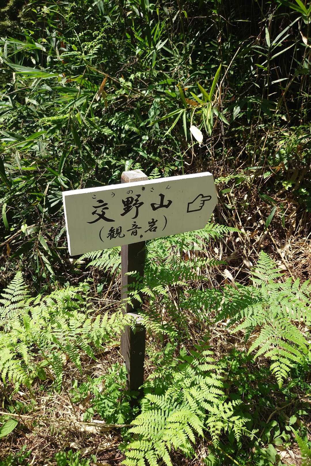 交野山登山口-交野山 三宝荒神-交野山 往復コースの写真
