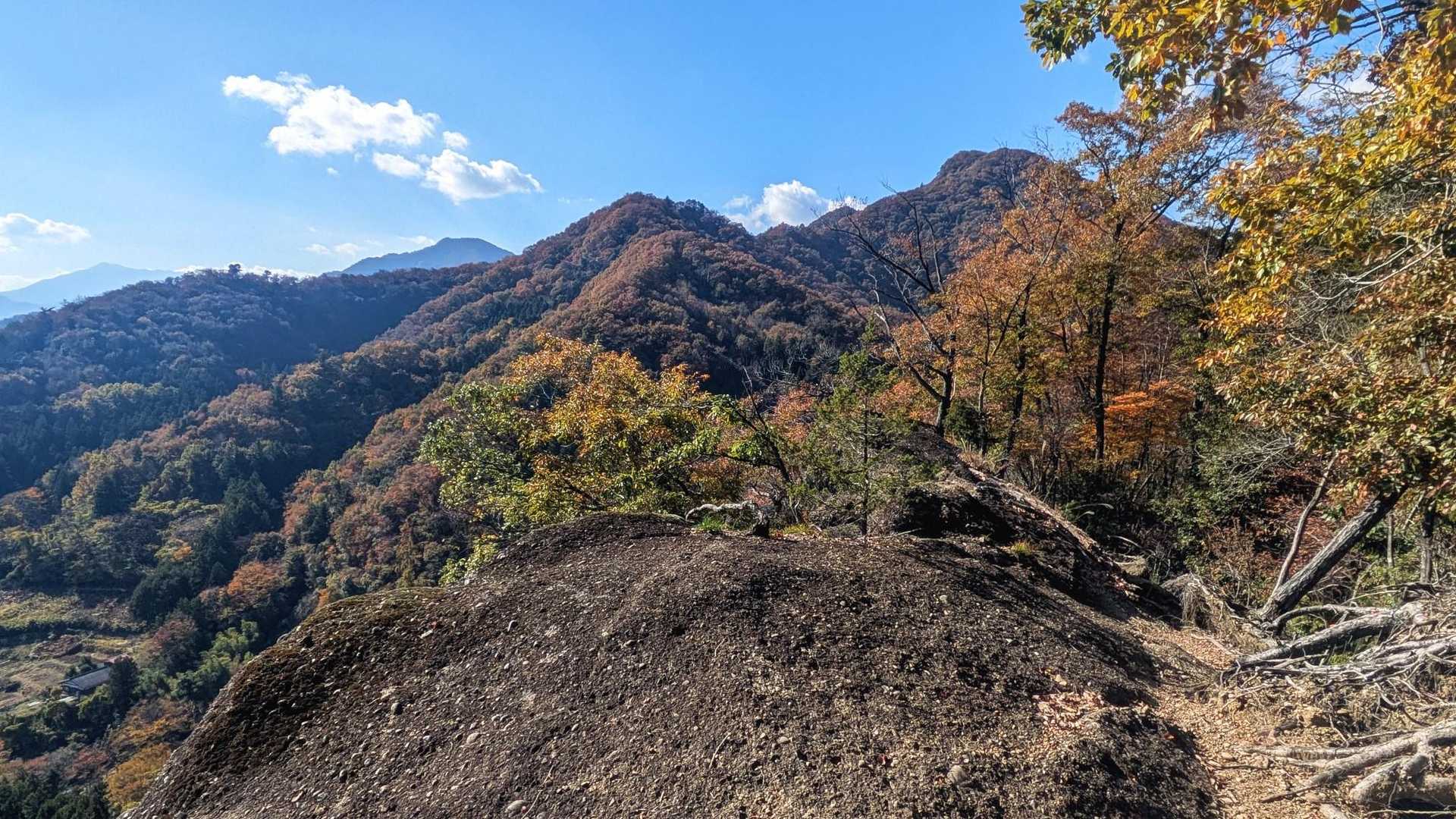 下山路↘の岩場🪨から花咲山△の展望🤓　花咲山にも💗ツ○レ○ゲの咲くスポットがあるそうです
