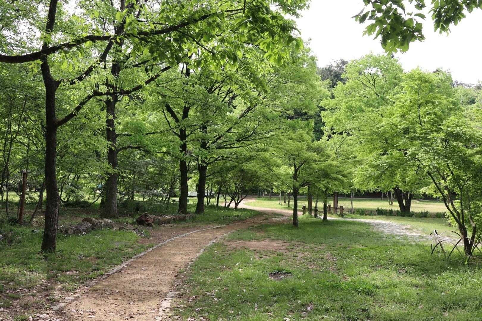金山 往復コースの写真