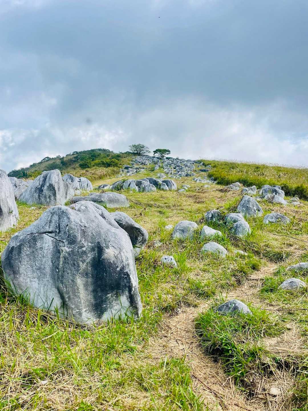 吹上峠-大平山 往復コースの写真