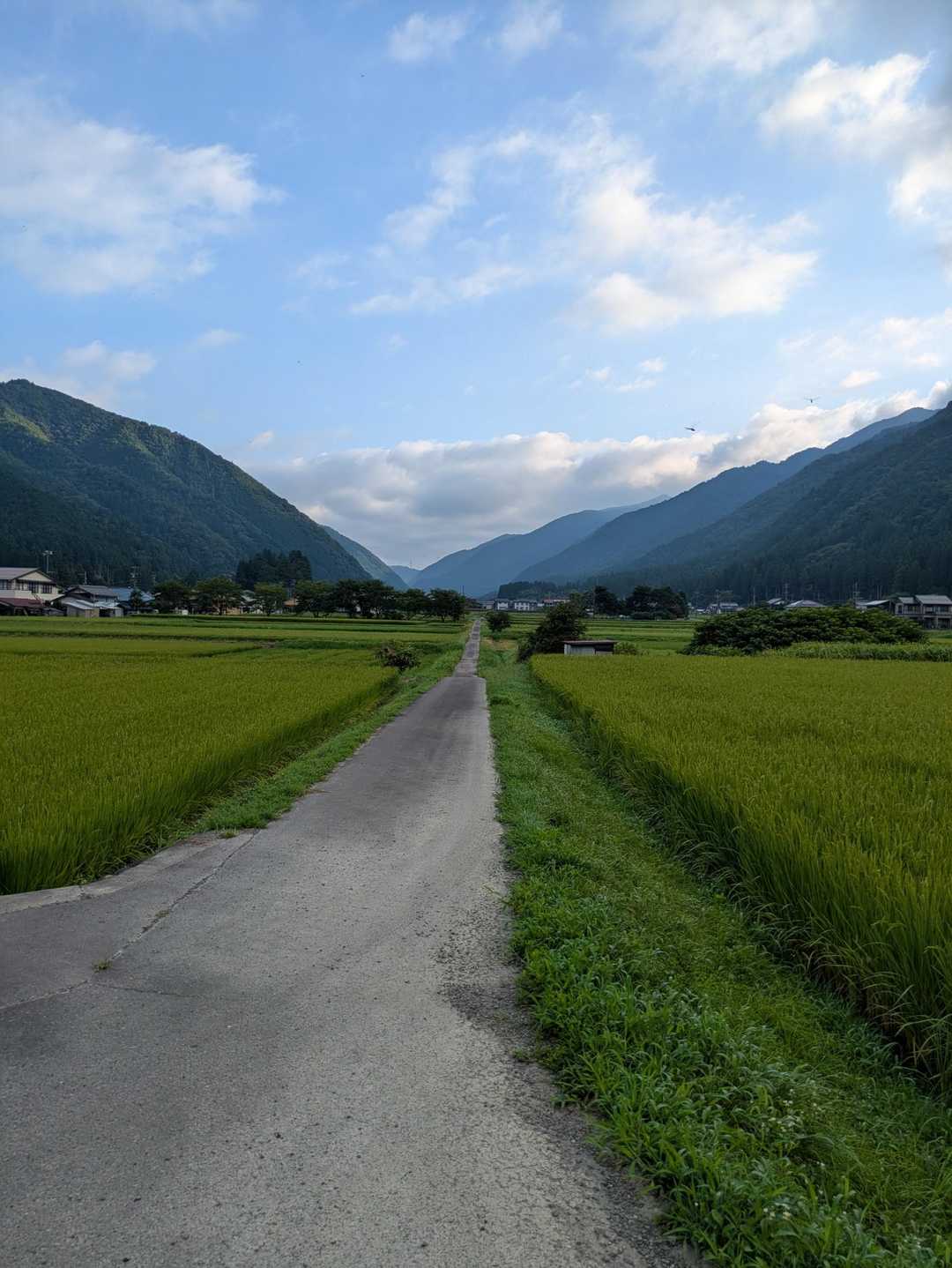 京塚山 往復コースの写真