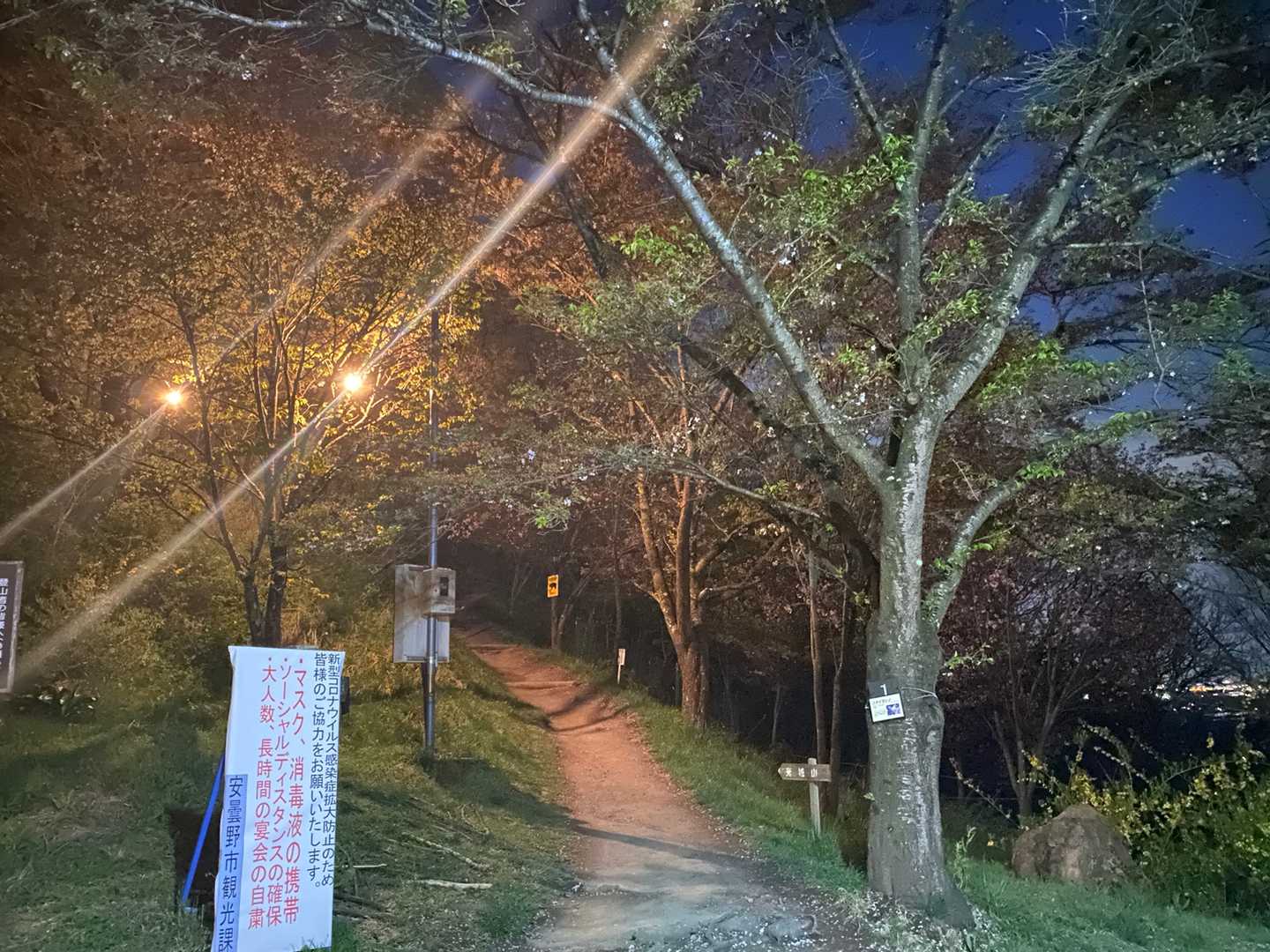登山口 桜はすっかり散りました👋