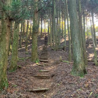江川岳の手前の階段、なかなかバードでした。はあはあ
