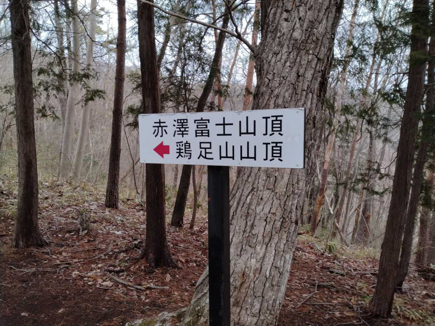 赤澤富士登頂しました⛰️