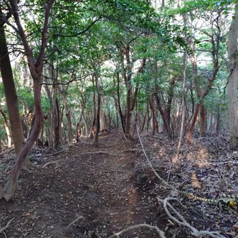 八重坂も滑ります😓
