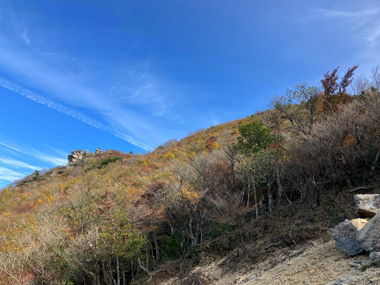 宮指路岳-小社峠-仙ヶ岳 周回コースの写真