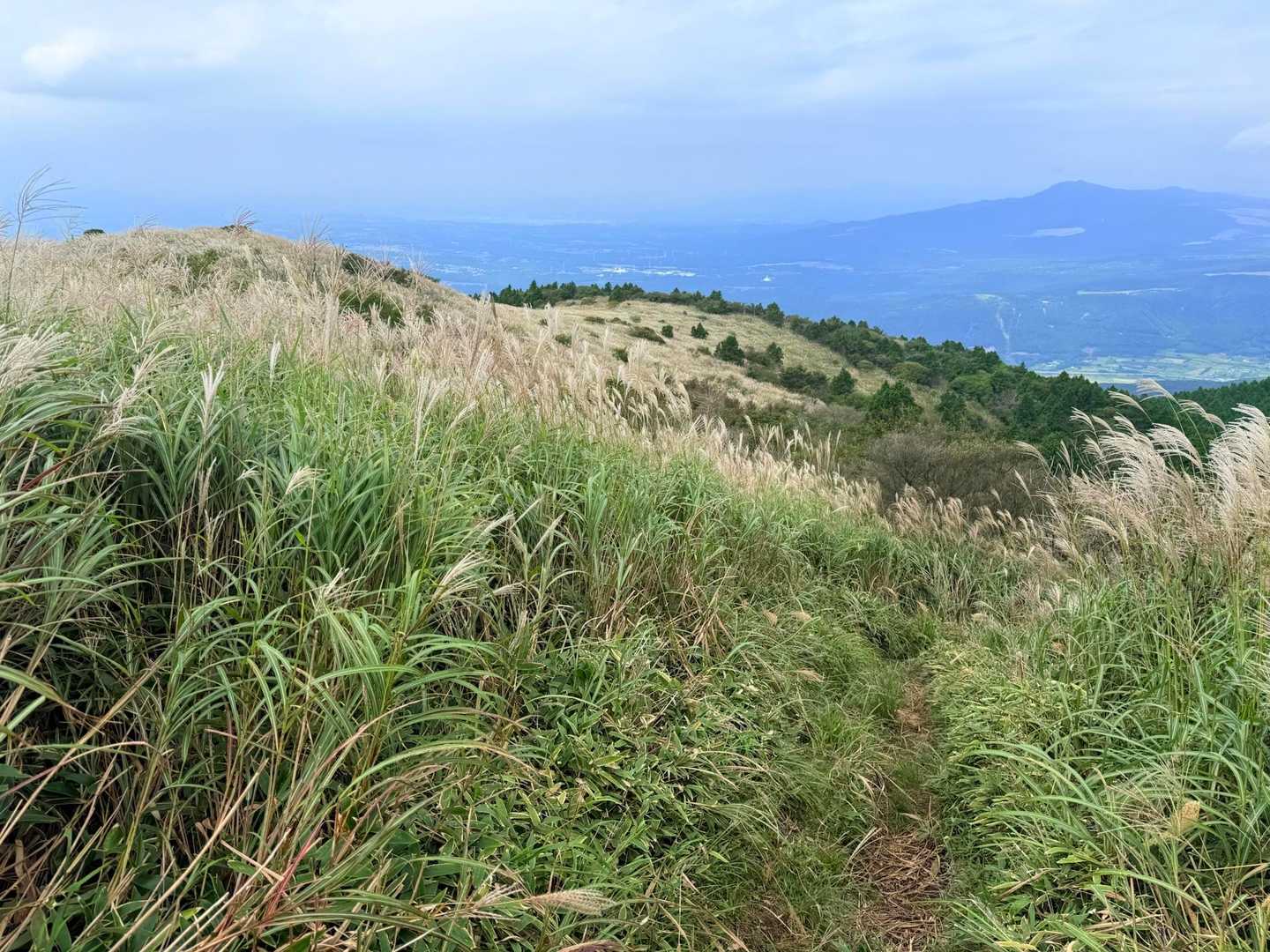 登りでは気づかなかった、ススキの広がる景色🌾