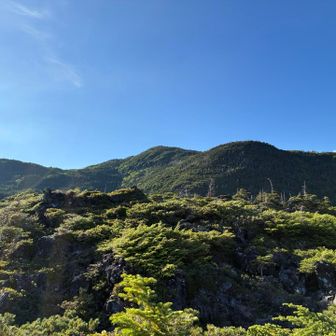 本当は北横岳も行くつもりだったけどまた今度〜👋