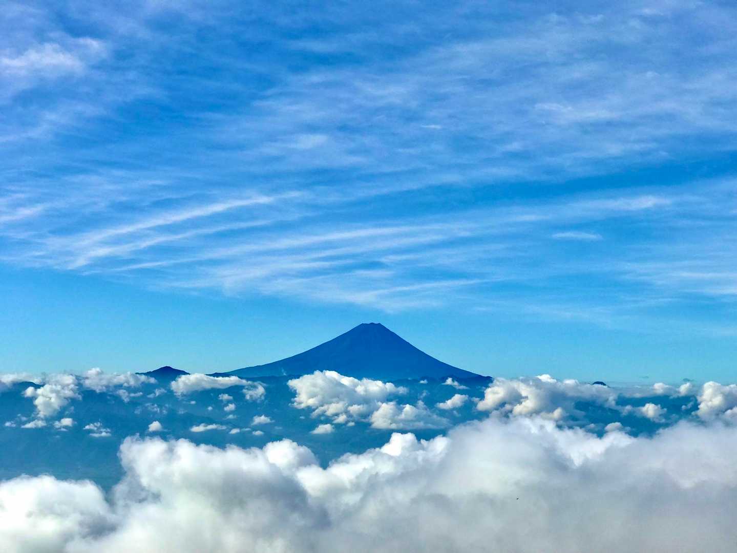 良いですねぇ〜🤩