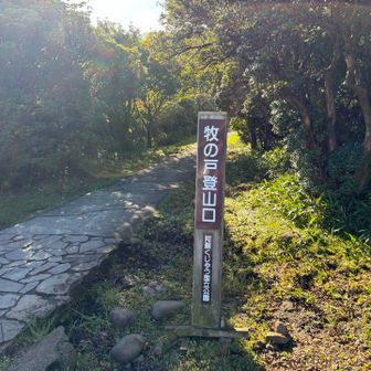 下山