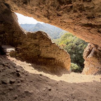 中も広い
仏さんあってもおかしくない雰囲気