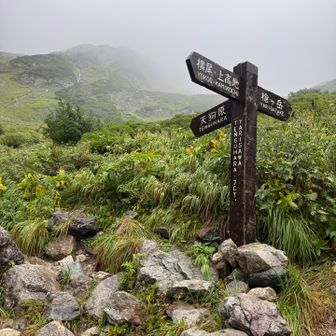 天狗池分岐。雨は降り続いている。