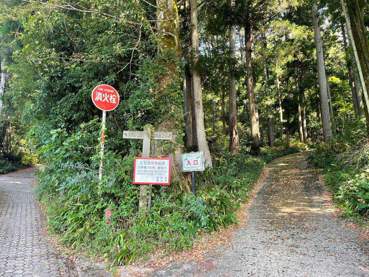 登山口入口
左-大師山頂上方面
右-森林森林浴コース
YAMAPの地図では
周回できるように
なっているため
左大師山頂上方面から
時計回りでチョイス
