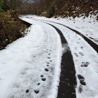 秋葉越から一旦道路に出て歩きます。