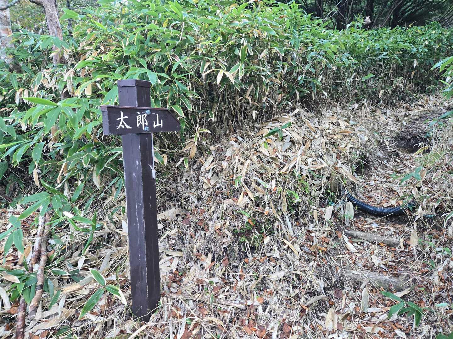 3分ほど歩いて登山口に到着。