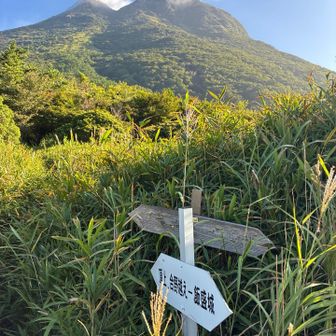 ここから本格的な登山⛰️