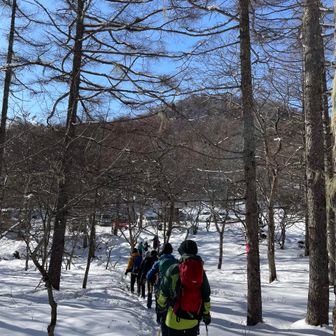 駐車場が見えてきた