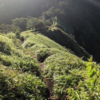丹沢山に向かう途中