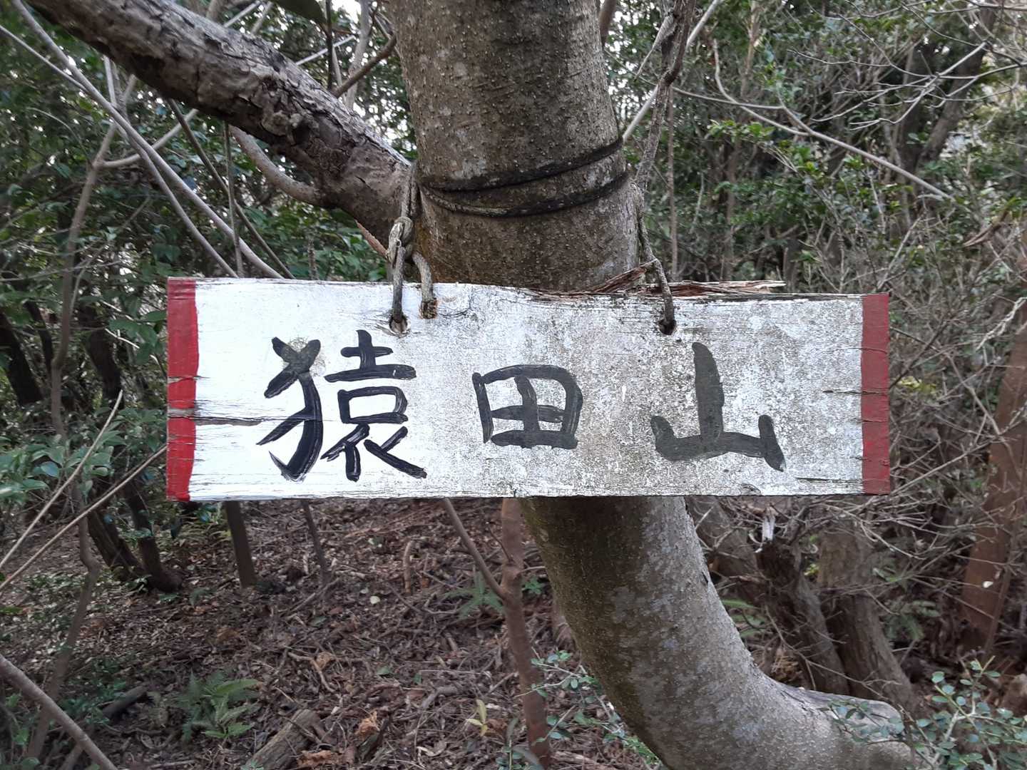 猿田山⛰️標高は不明です。