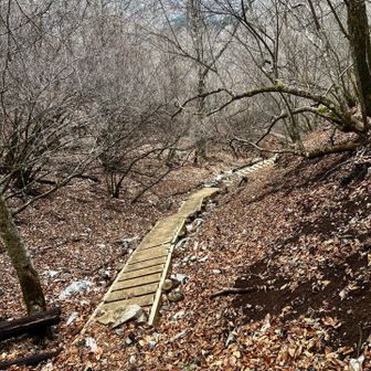 大室山・畦ヶ丸・菰釣山 白石峠からは激下りです♪