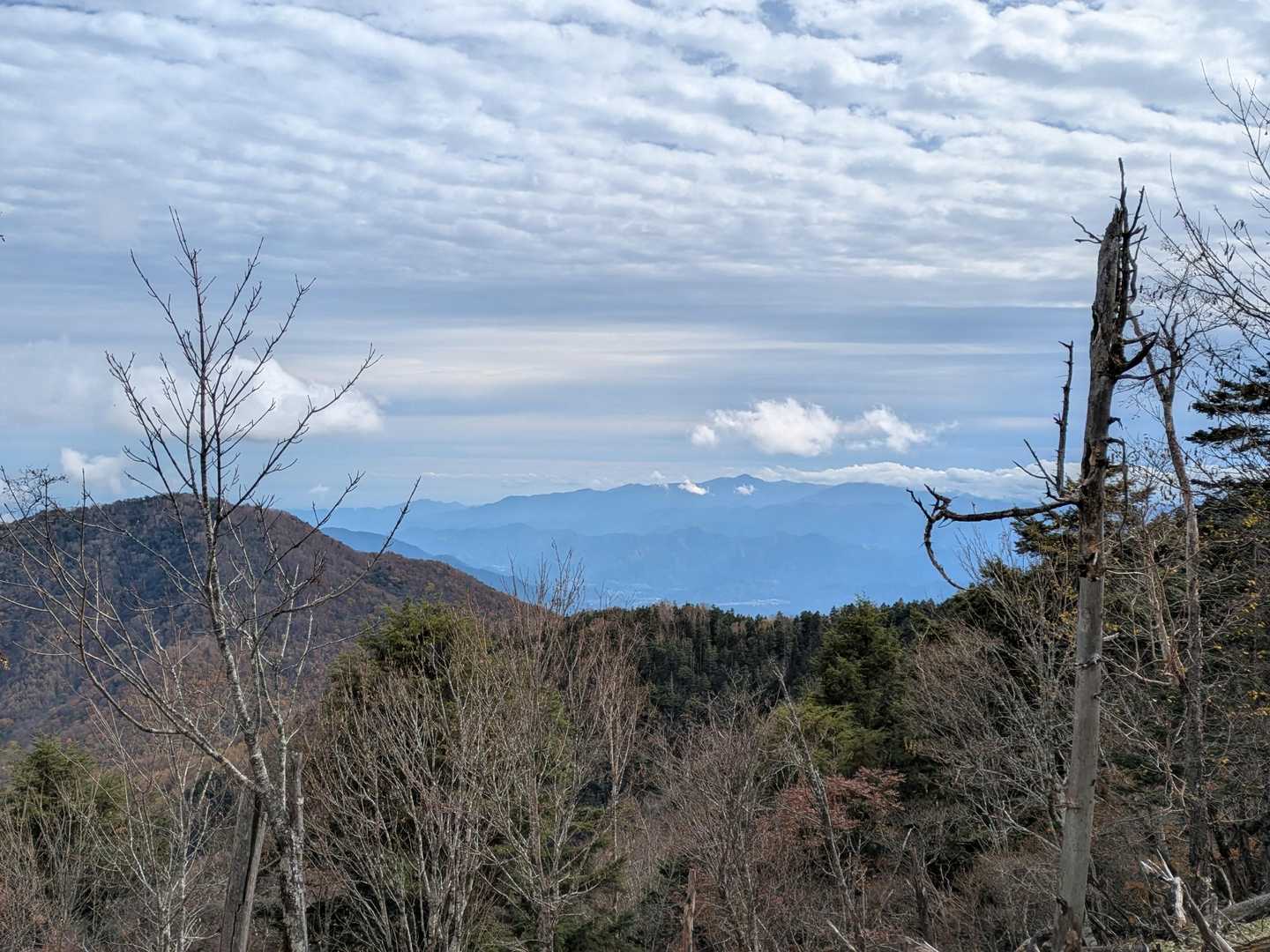 丹沢山⛰️見えたー🎶