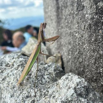 こちらの山頂も賑わっていますよ😄