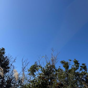 青🩵空が気持ちいい〜