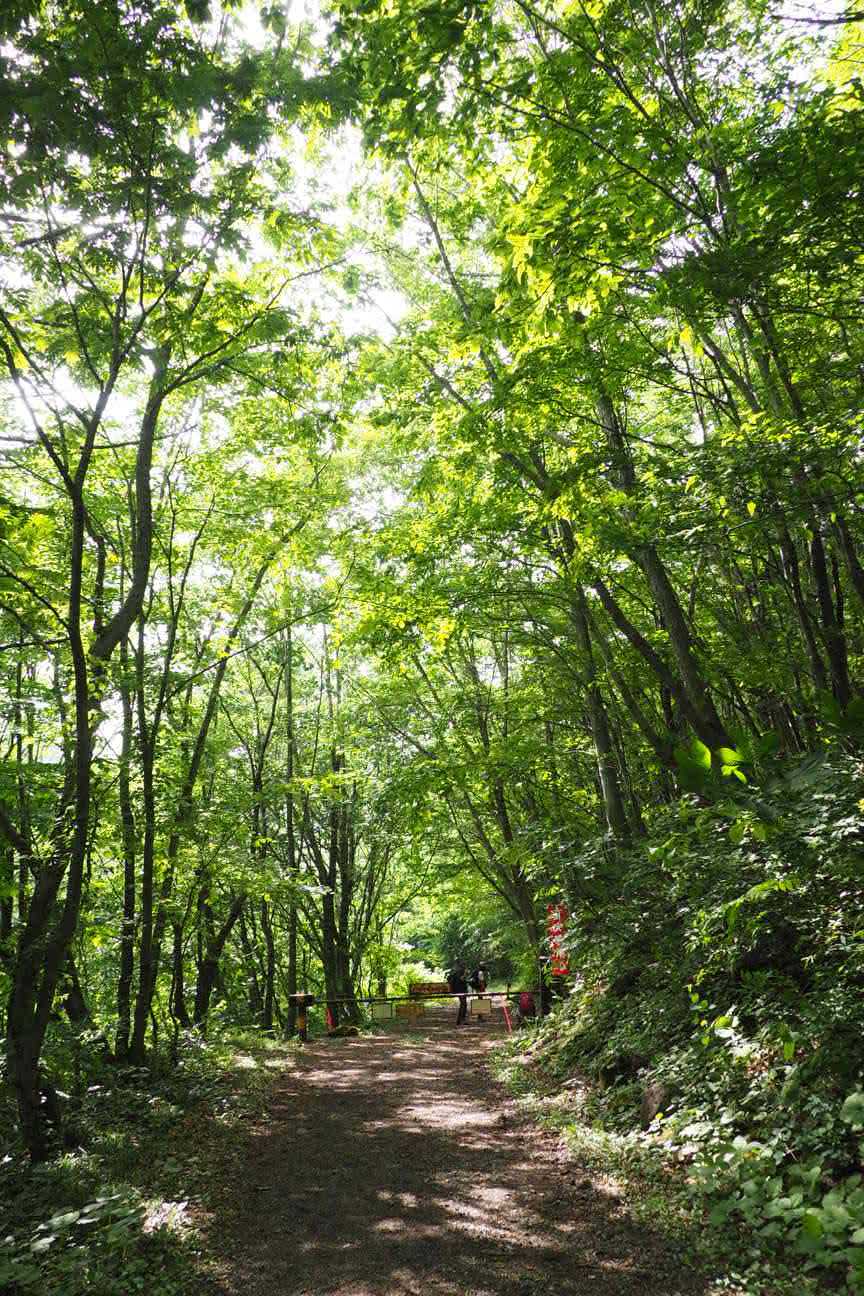 平元新道登山口-平標山 往復コースの写真