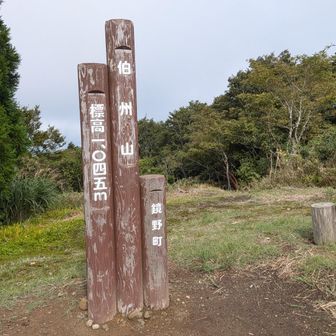 最後の伯州山
ここからピストン