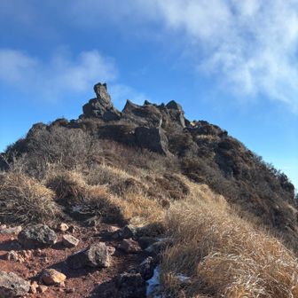 山頂が見えてきた