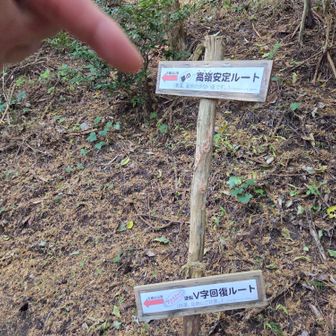 迷わずコチラへ